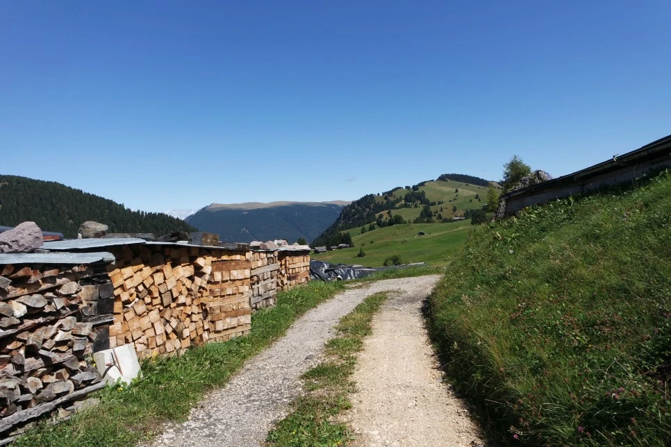 09071947.JPG?type=w966