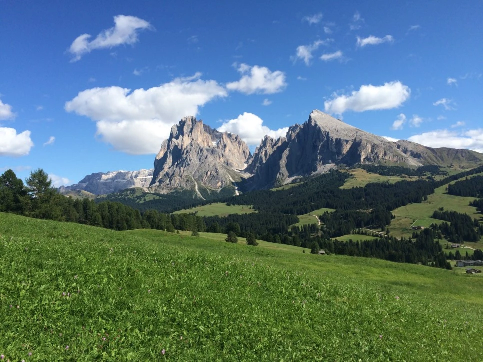 P20150907_152352909_454E5FB6-067F-4511-A9D9-DE80E2EF672D.JPG?type=w966