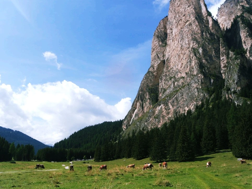 image_9862026521522468306582.jpg?type=w966