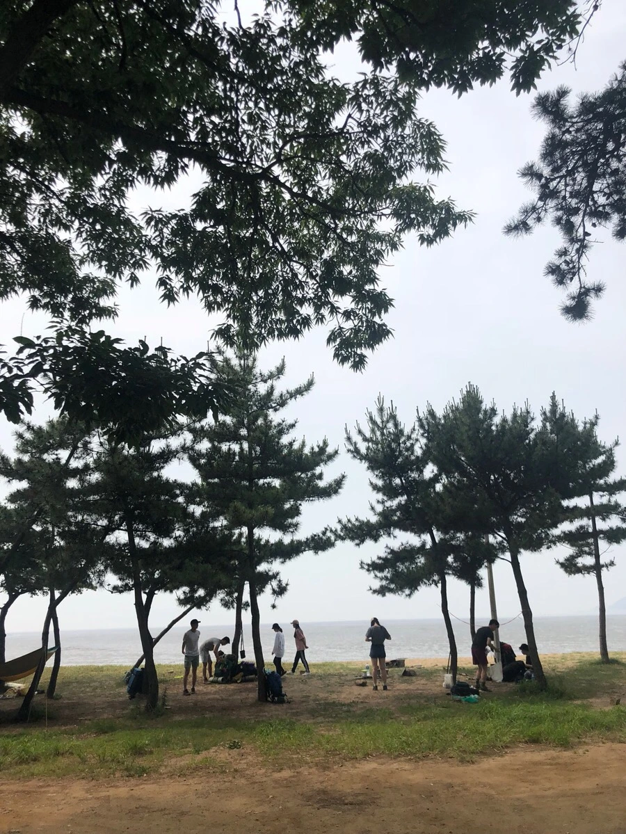 IMG_5623.jpg?type=w966