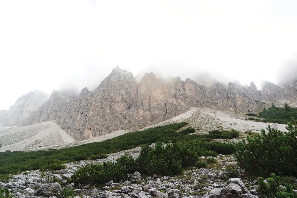 image_1286803041522466926703.jpg?type=w966