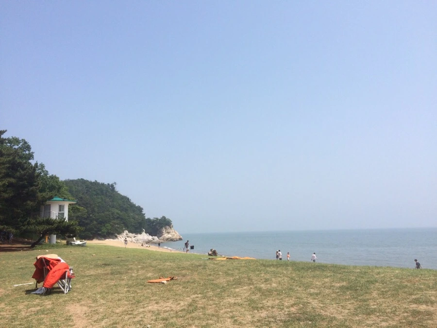 IMG_5498.jpg?type=w966