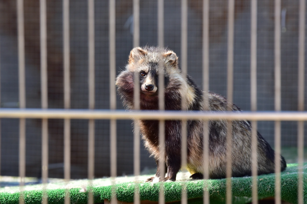 계류 중 모습 (10).JPG