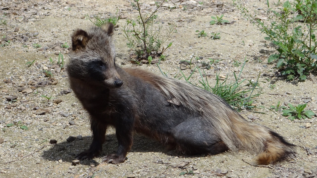 회복 중 모습.JPG