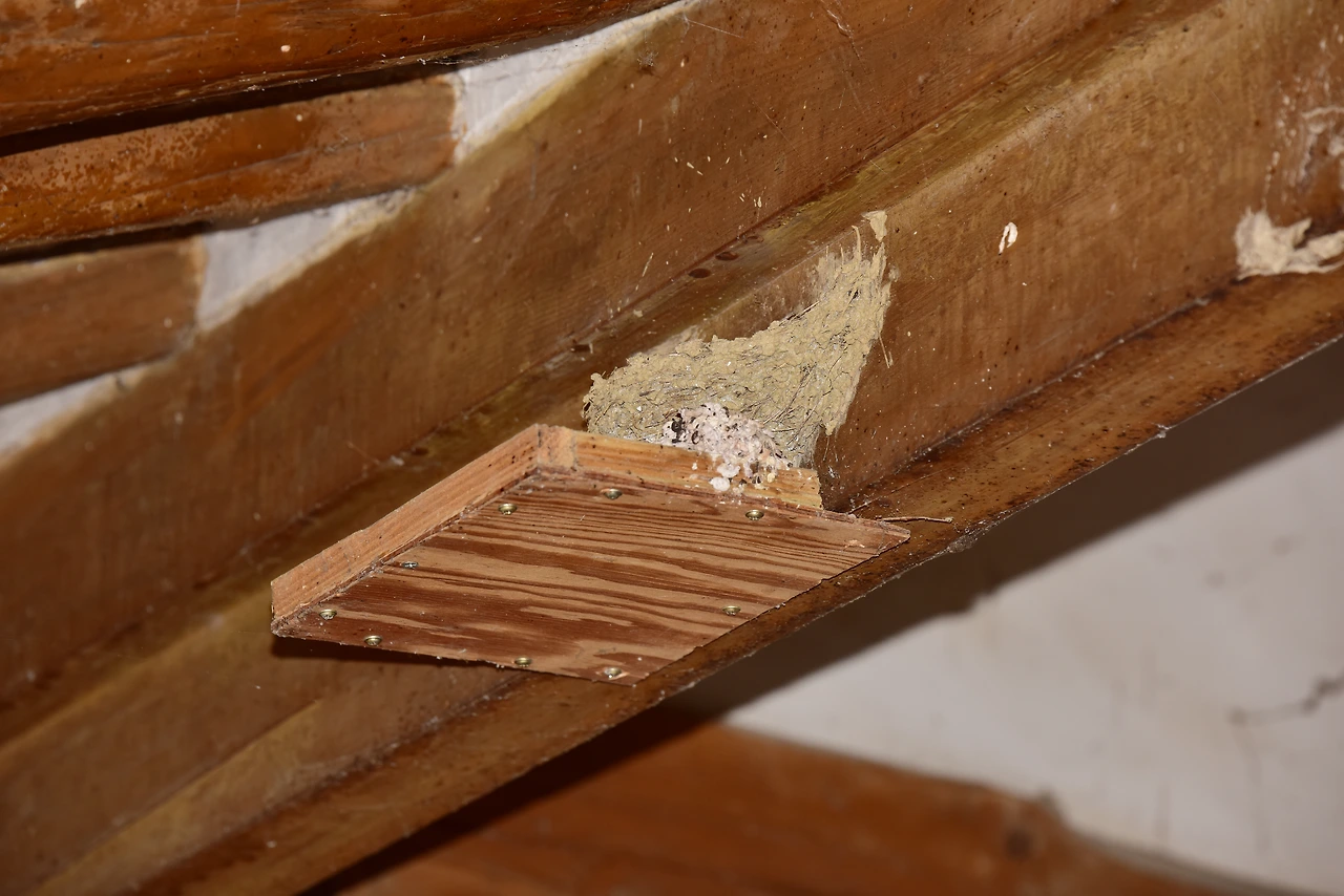 배설물이 떨어지는 것을 방지하기 위해 밑판을 부착.JPG