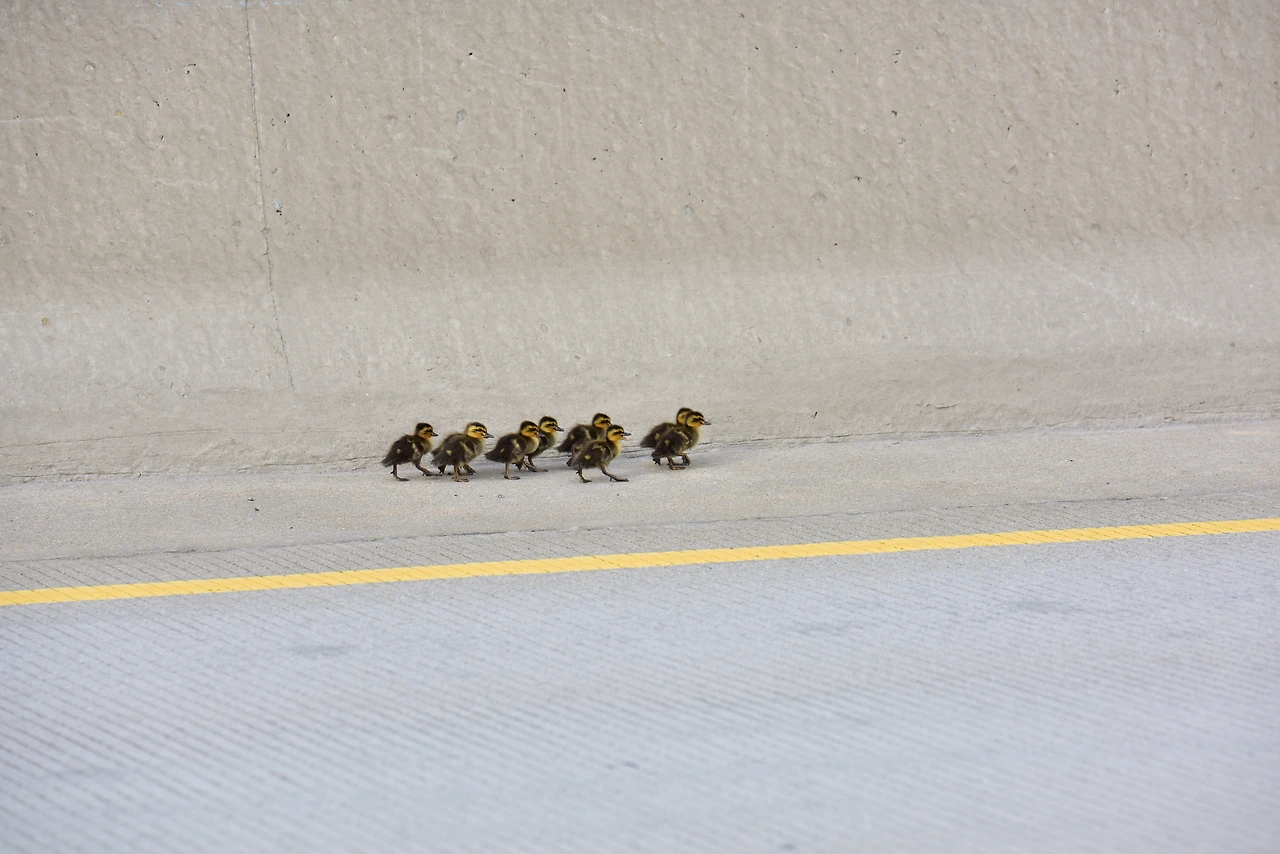 _구조 당시 모습 (1).JPG