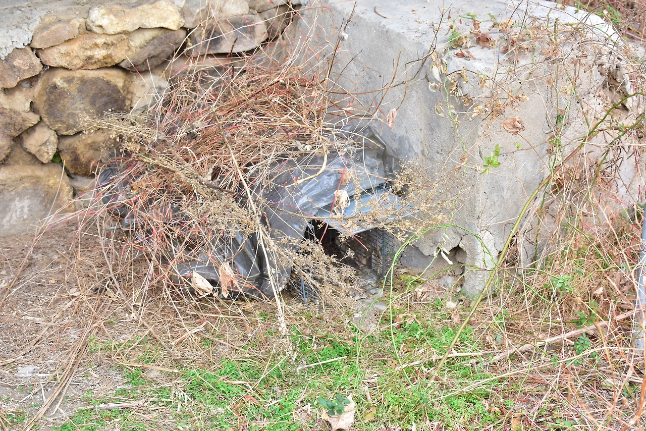 포획을 위한 포획틀 설치.JPG