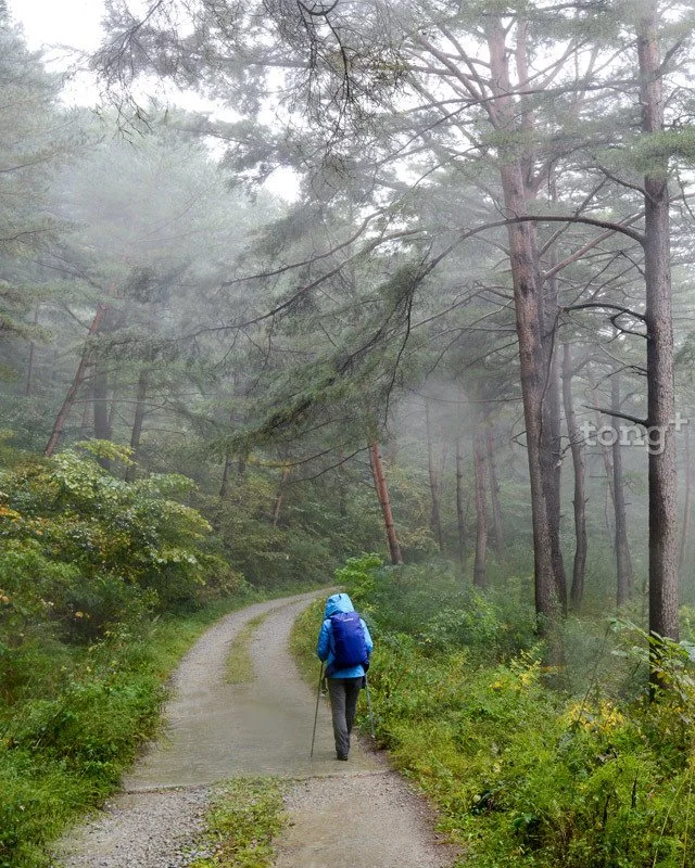 2018110102702_0.jpg?type=w1200