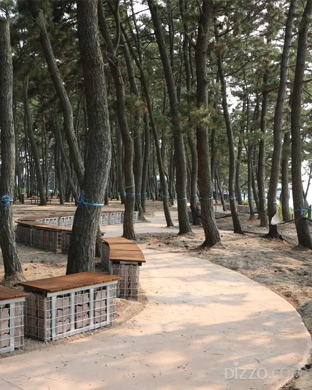 2019071580131_2.jpg?type=w1200