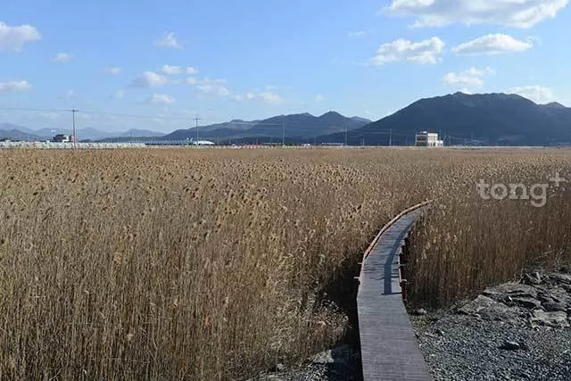 2019010980065_6.jpg?type=w1200