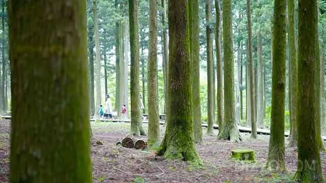 2019062580059_1.jpg?type=w1200