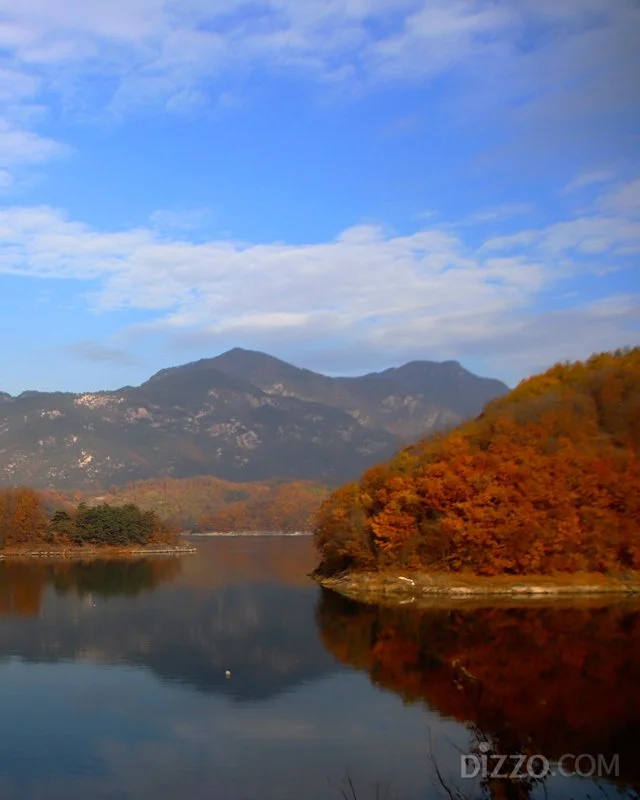 2019120480134_5.jpg?type=w1200