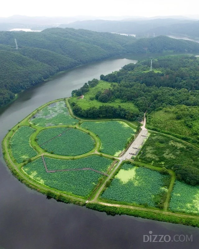 2019070480060_10.jpg?type=w1200