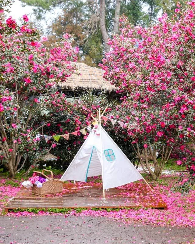 2018122780039_8.jpg?type=w1200