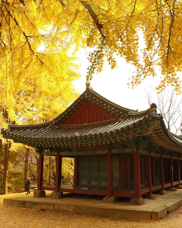 2018100402436_8.jpg?type=w1200