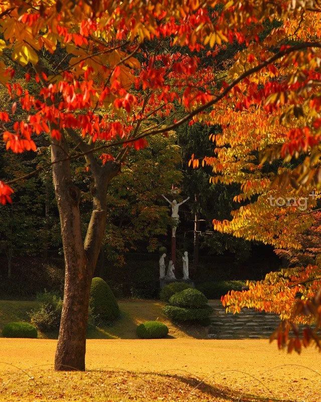 2018100402436_1.jpg?type=w1200