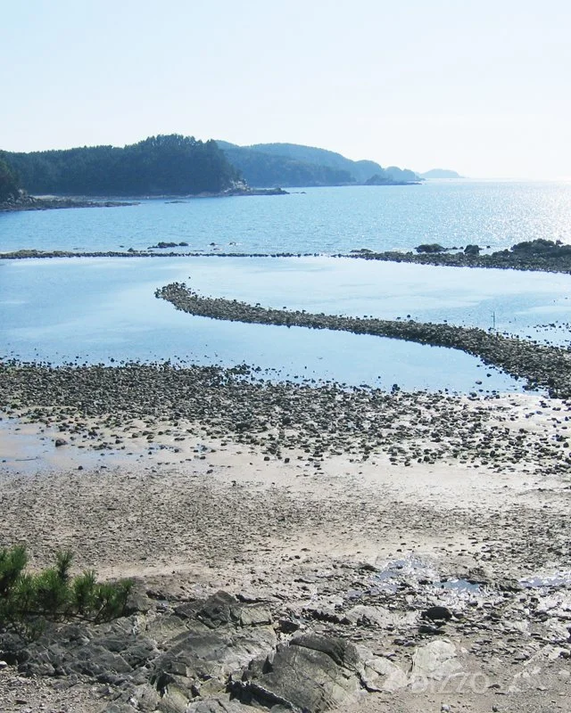 2019071580131_0.jpg?type=w1200