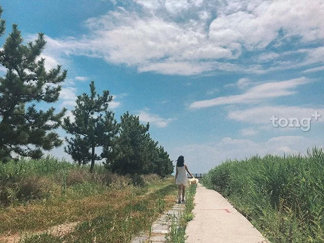 2018090401815_9.jpg?type=w1200