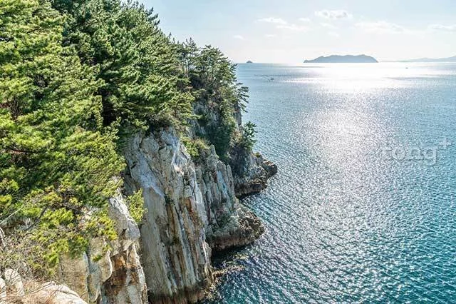 2019010980065_3.jpg?type=w1200