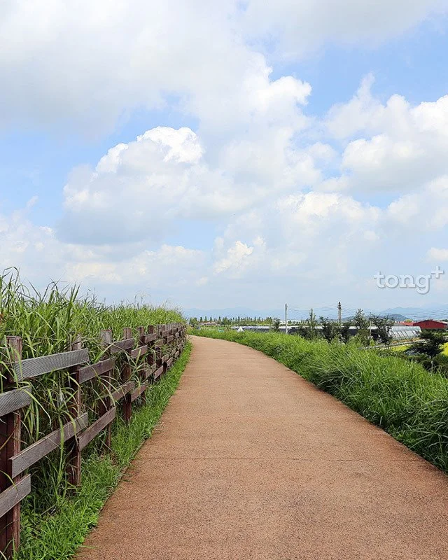 2018100802318_8.jpg?type=w1200