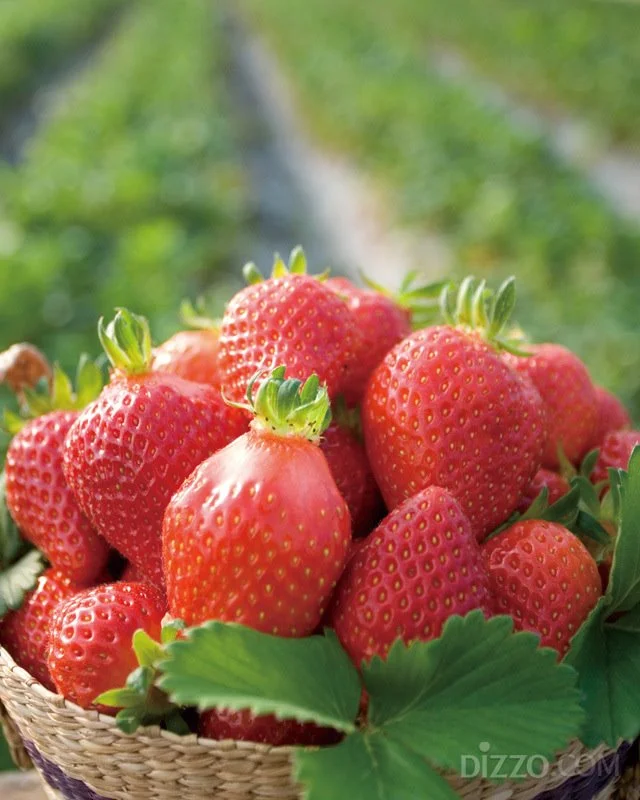 2019032980096_3.jpg?type=w1200