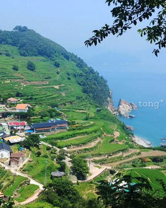 2018080700825_10.jpg?type=w1200