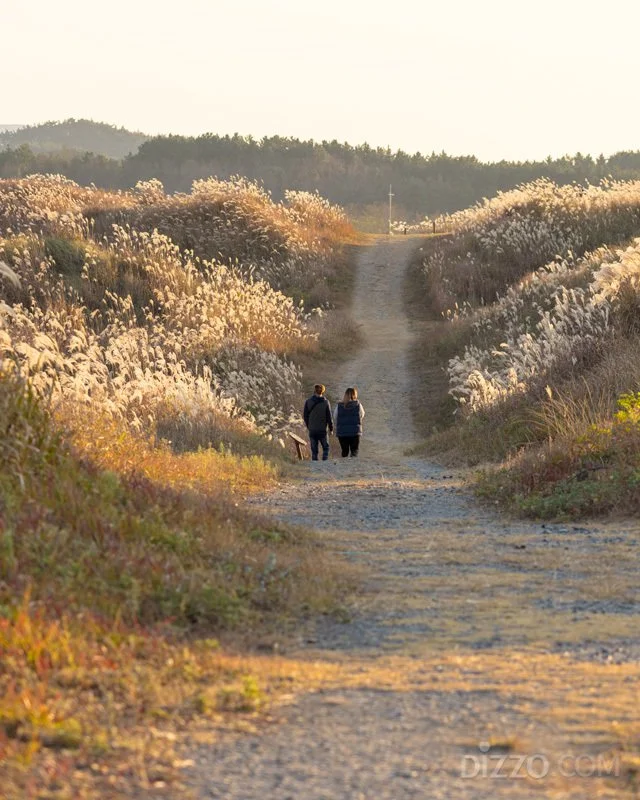 2019120480134_1.jpg?type=w1200