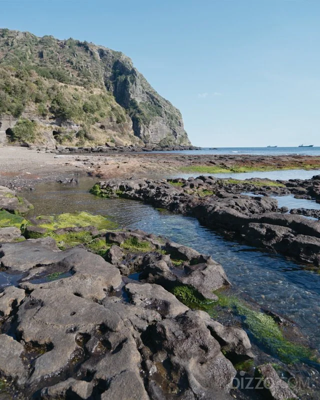 2019032980096_6.jpg?type=w1200