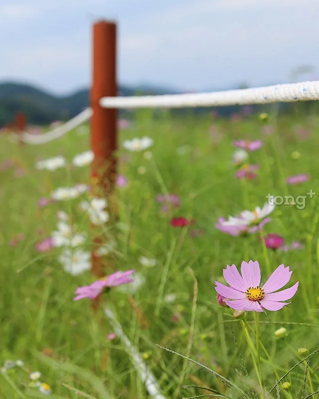 2018100802318_9.jpg?type=w1200