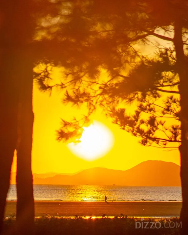 2019120480134_6.jpg?type=w1200