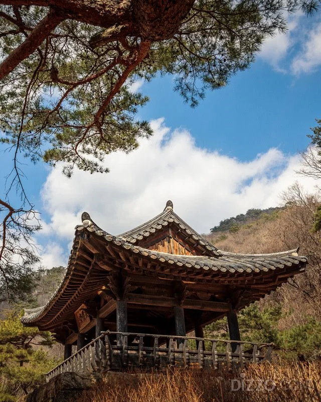 2019040180134_1.jpg?type=w1200