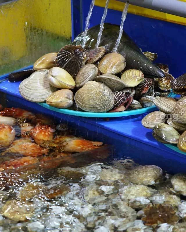 2019020780052_3.jpg?type=w1200