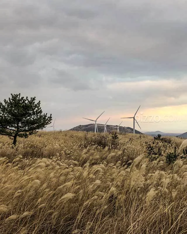 2019021880038_5.jpg?type=w1200