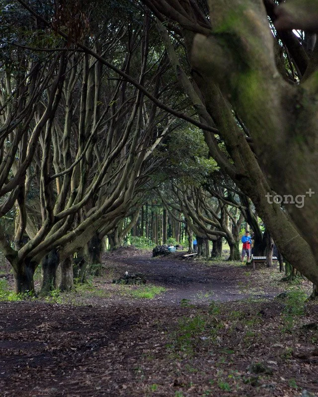 2018100402046_5.jpg?type=w1200