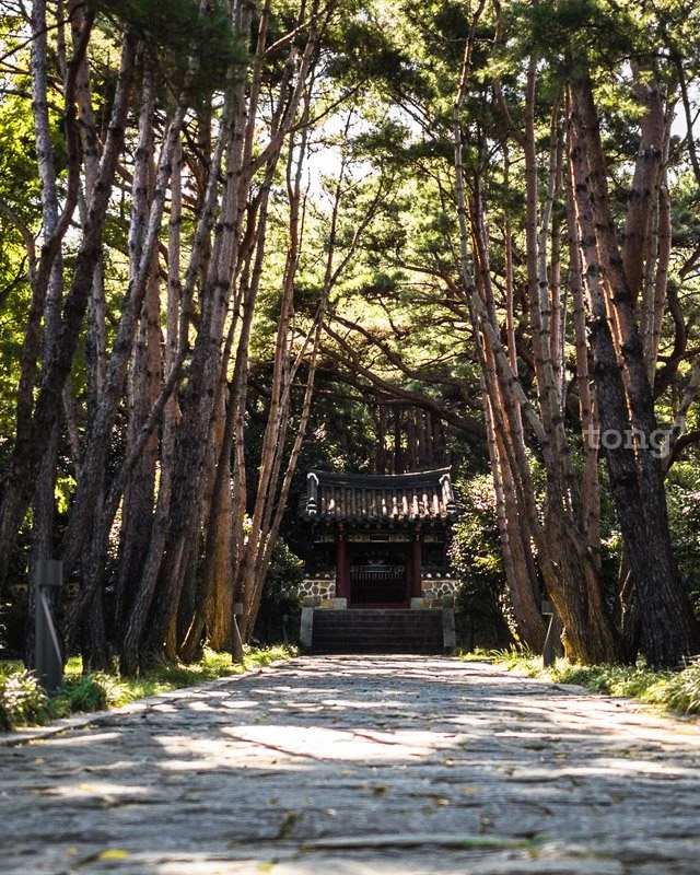 2018110102702_3.jpg?type=w1200