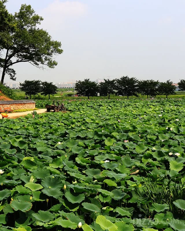 2019073080163_1.jpg?type=w1200