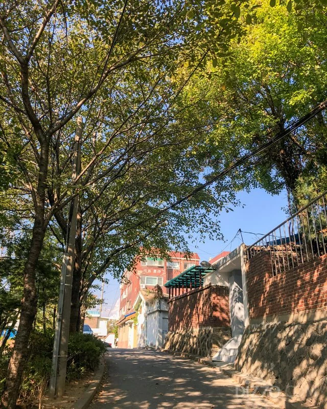 2019110480039_6.jpg?type=w1200