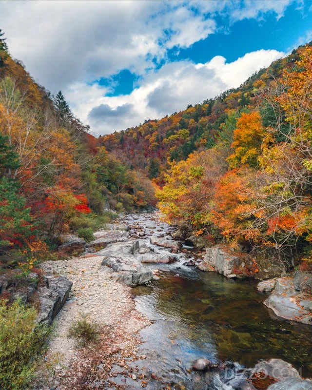 2019110480039_9.jpg?type=w1200