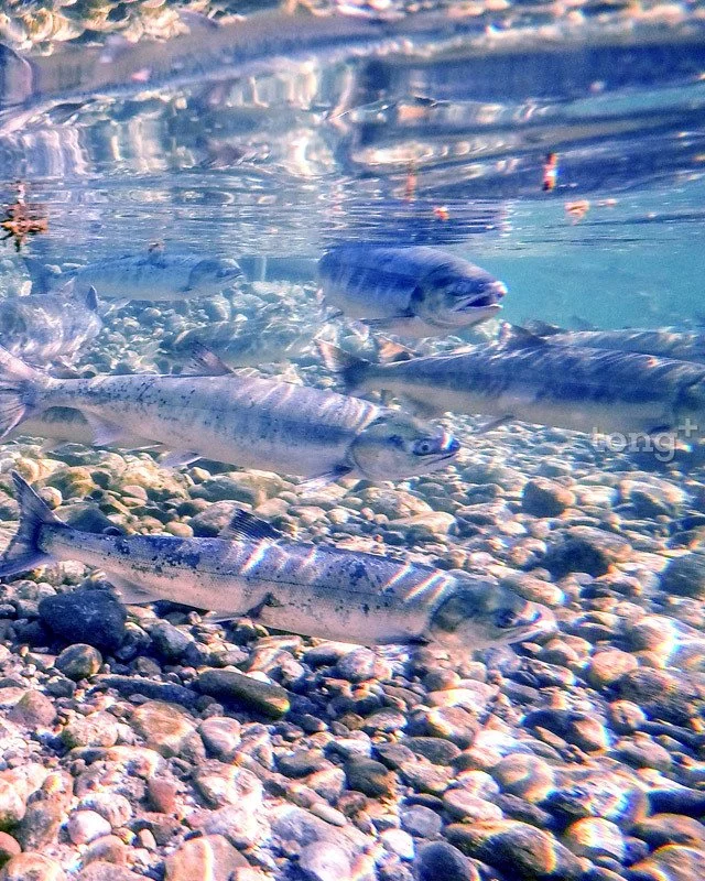 2018100102183_3.jpg?type=w1200