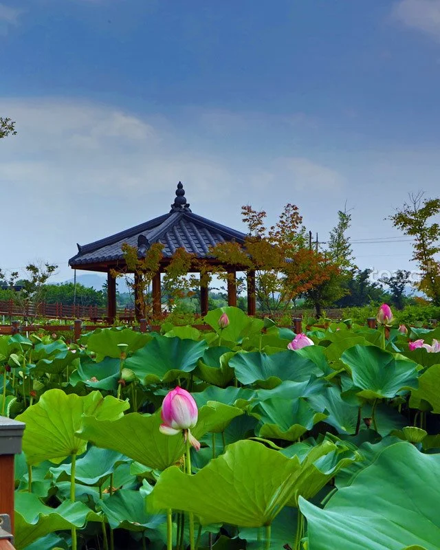 2018080700825_7.jpg?type=w1200