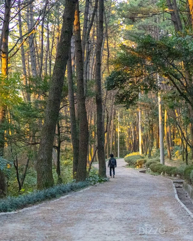 2019120480134_7.jpg?type=w1200