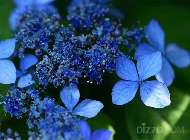 2019052280157_7.jpg?type=w1200