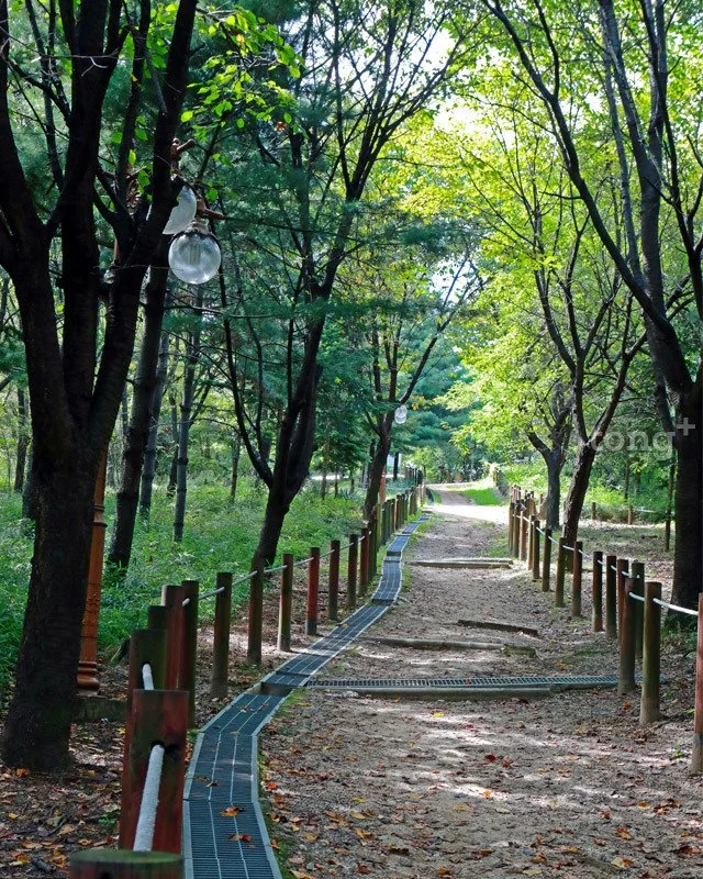 2018100802318_0.jpg?type=w1200