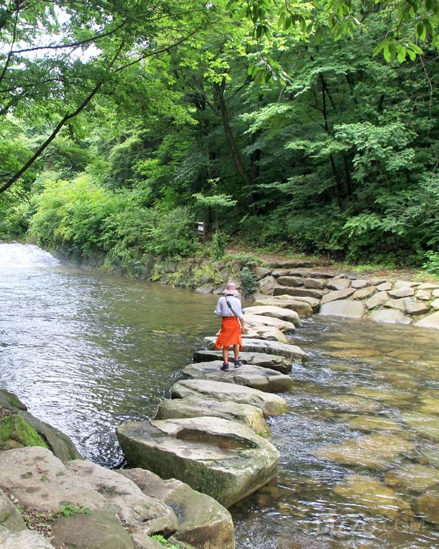 2019080180061_8.jpg?type=w1200