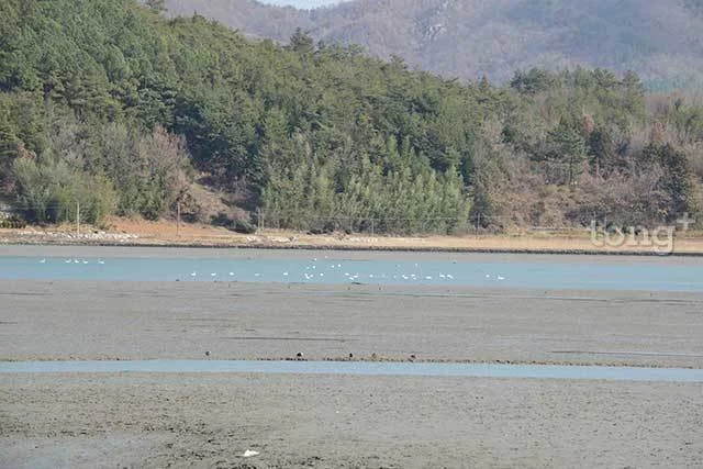 2019010980065_7.jpg?type=w1200