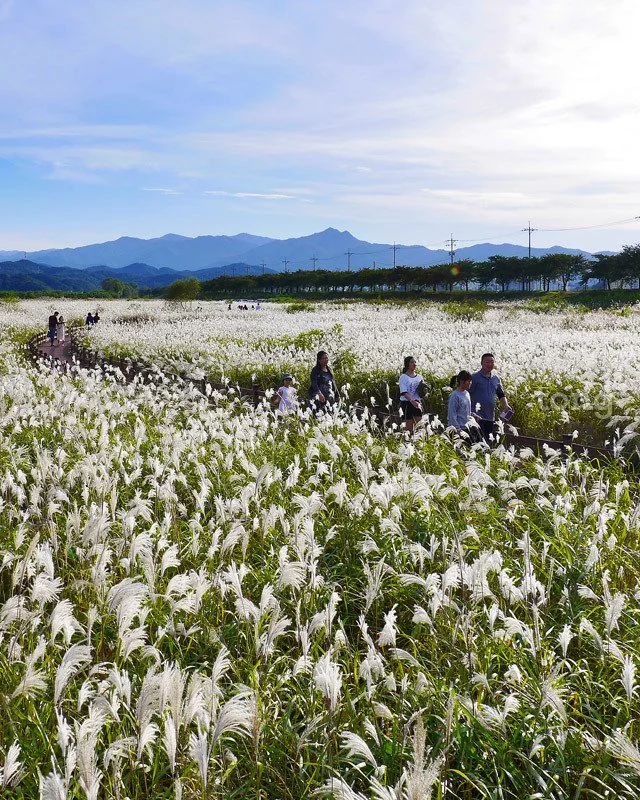 2018100102183_2.jpg?type=w1200