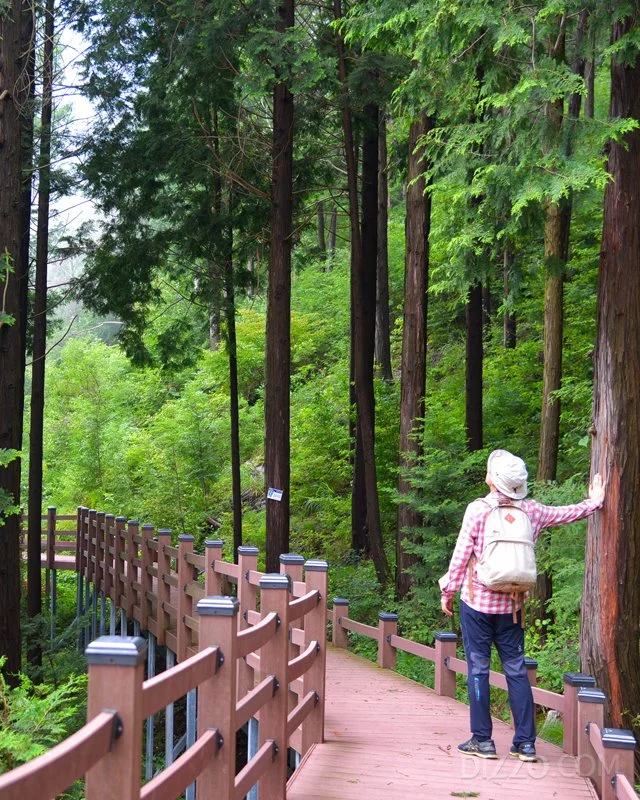 2019080180061_5.jpg?type=w1200