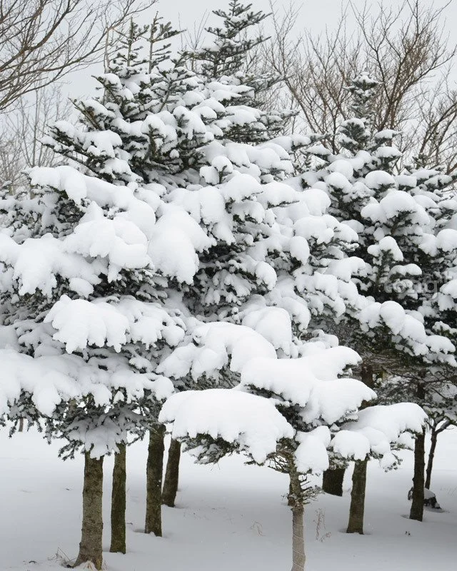 2018112002514_2.jpg?type=w1200