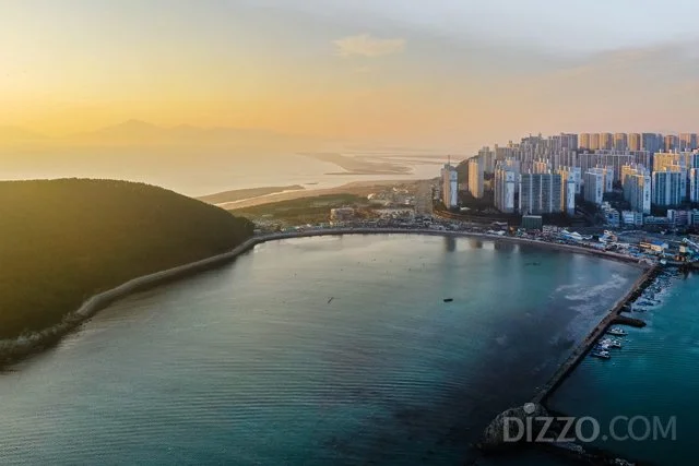 2020020480142_2.jpg?type=w1200