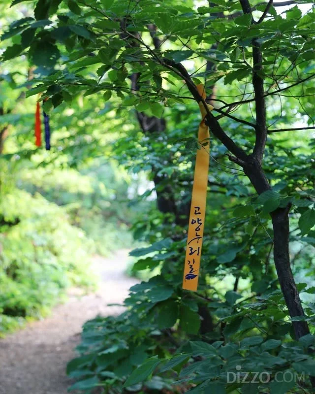 2019060380081_1.jpg?type=w1200